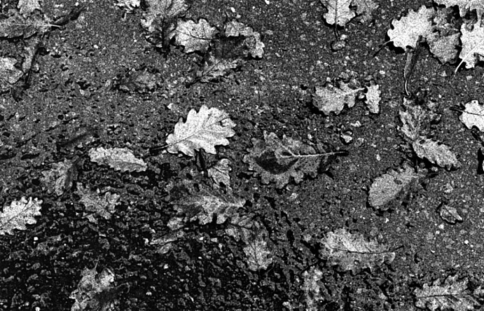 img120.jpg