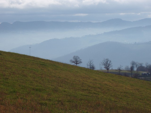 img1.jpg