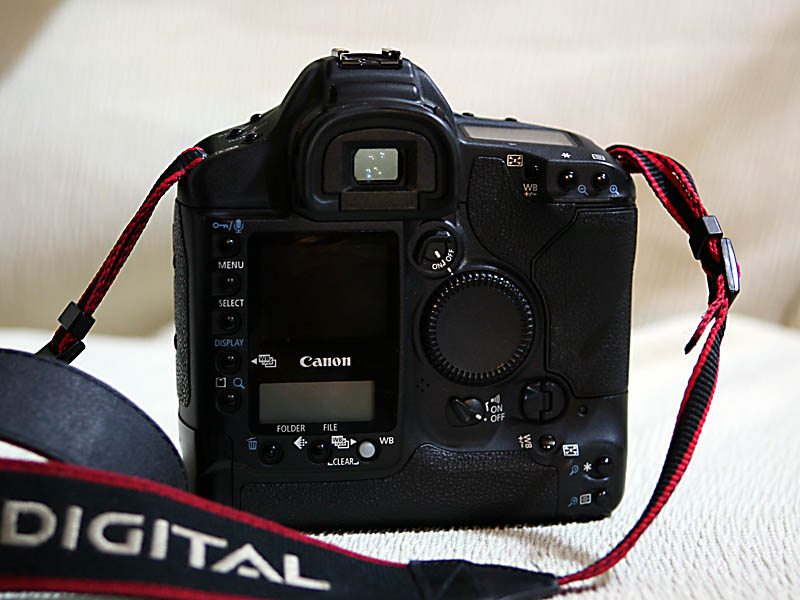 img1.jpg