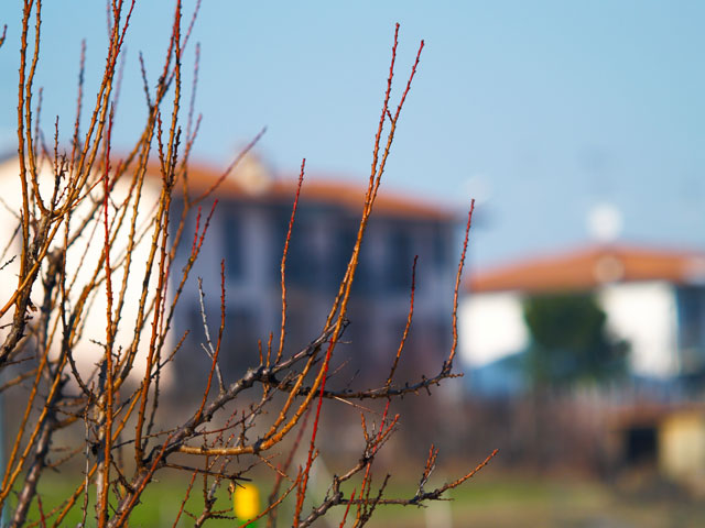 img1_e300_150mm_f2.jpg