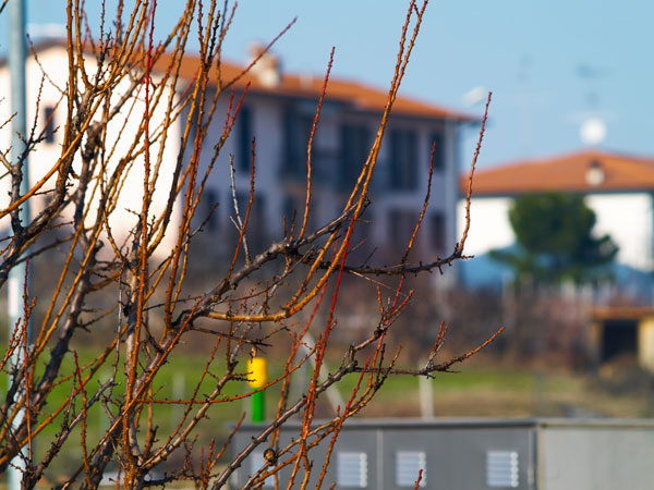img1_e300_150mm_f4.jpg