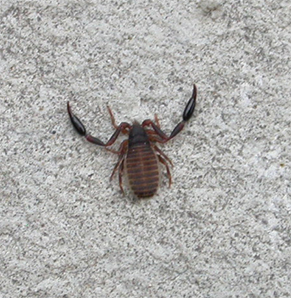 Img2006_07_23-17-19-55.jpg