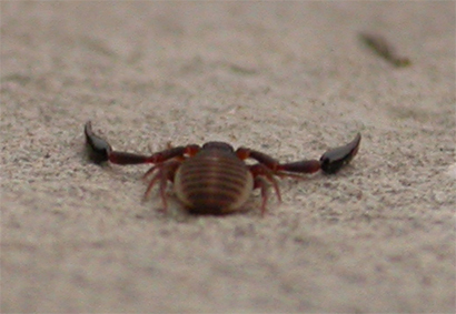 Img2006_07_23-17-19-57.jpg
