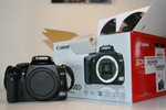 img2874g.jpg