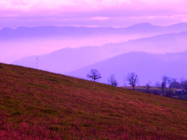 img2.jpg