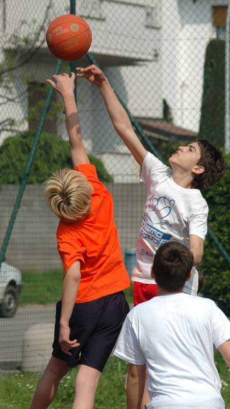 img2.jpg