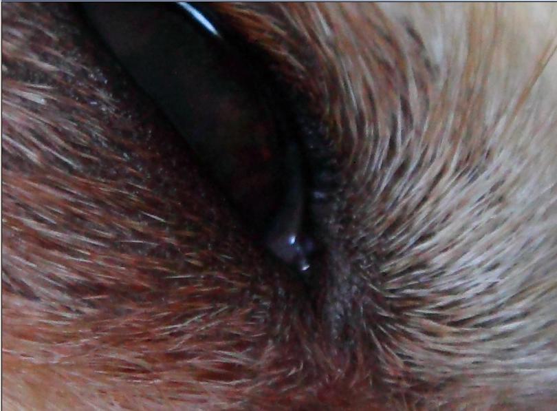 img2_crop.JPG