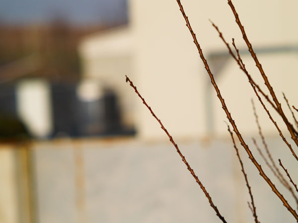 img3_e300_150mm_f2.jpg