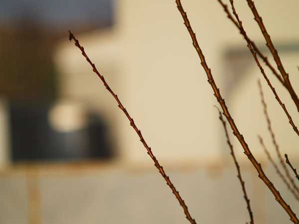 img3_e300_150mm_tc14_f28.jpg
