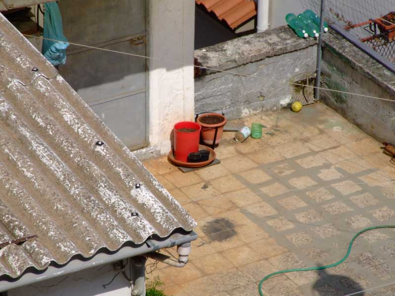 img4.jpg