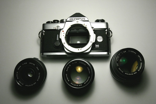 img7174filteredredur1.jpg