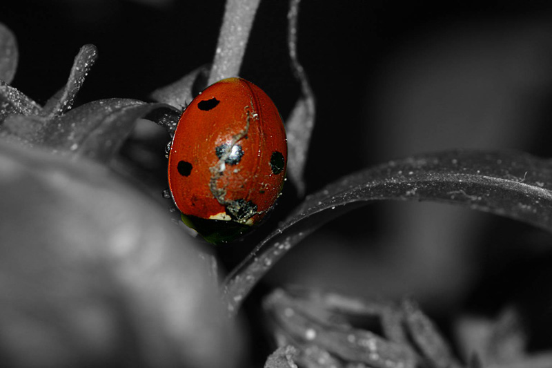 IMG_0001.jpg