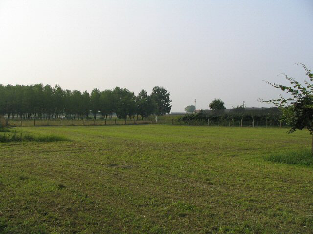 IMG_0001b.JPG