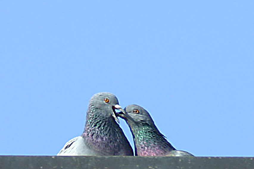 IMG_0003.jpg