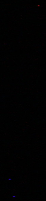 IMG_0024_alto_dx.jpg