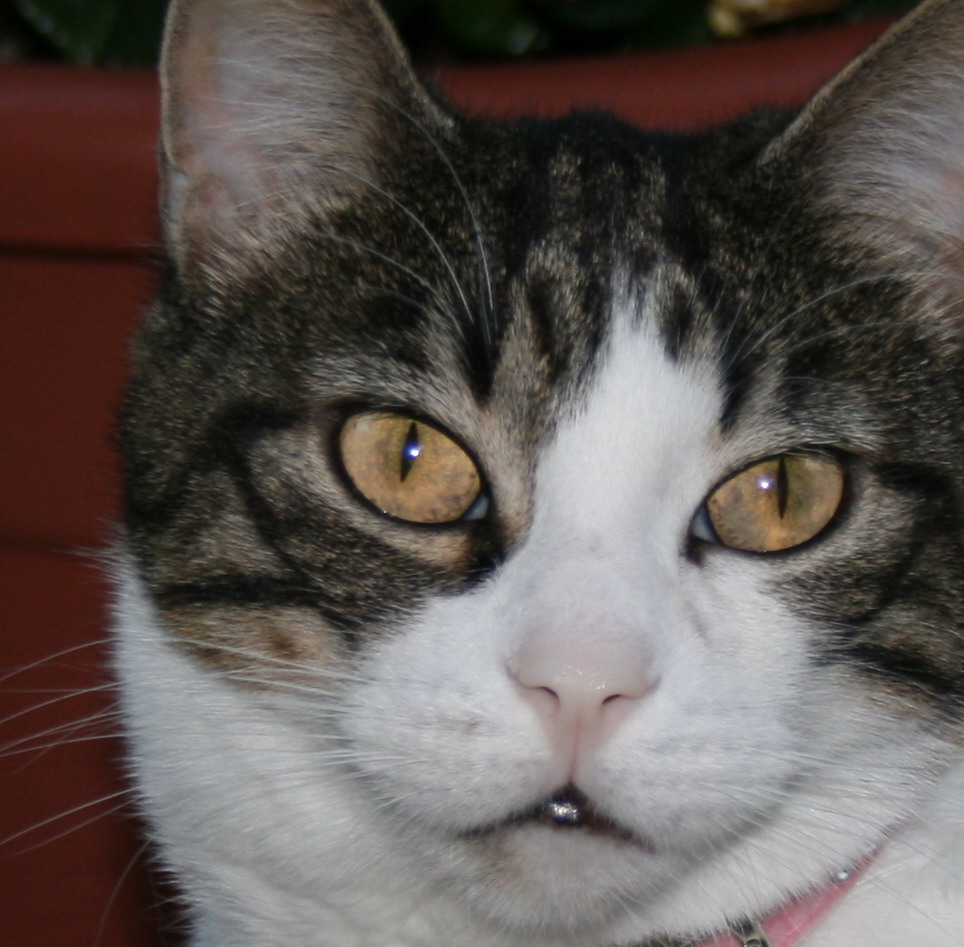 IMG_0047 crop.jpg