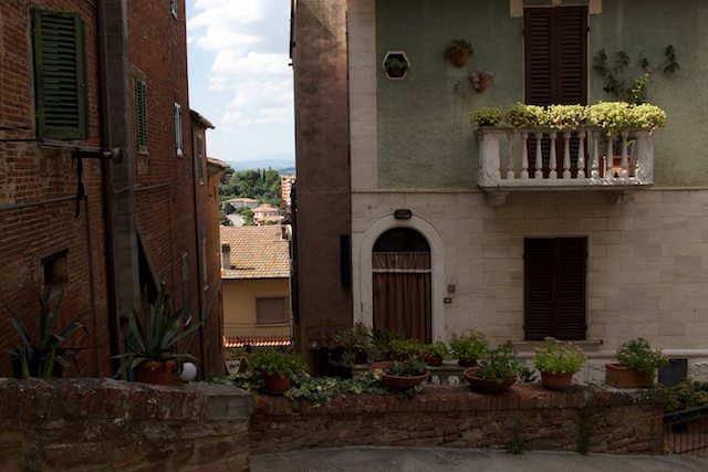 IMG_0050 - Version 2.jpg