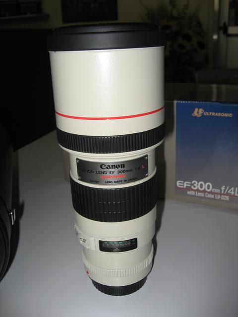 IMG_0081 WEB.JPG