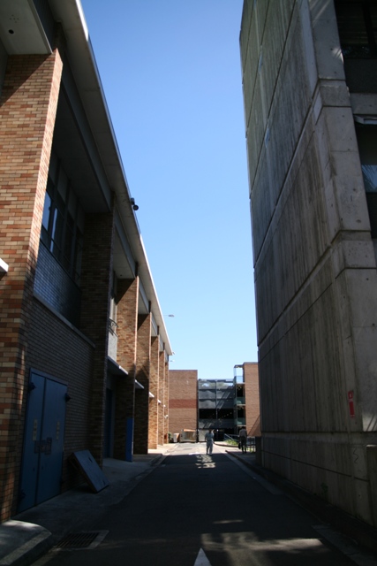 IMG_0105.jpg
