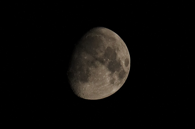 IMG_0107.jpg