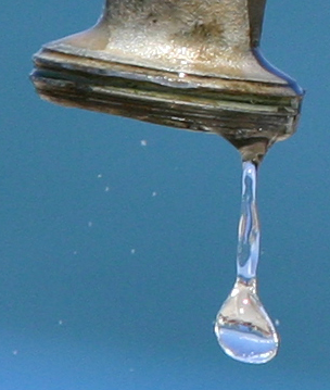 IMG_0133 crop.jpg