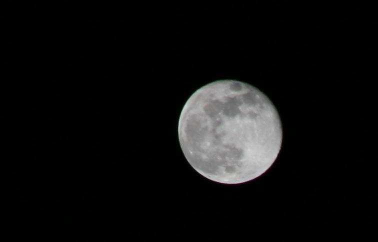 IMG_0165_3888x2592_ZOOM50.jpg