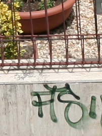 IMG_0188cropcentro.jpg