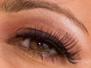 IMG_0245_crop.jpg