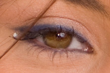 IMG_0261crop.jpg