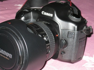 IMG_0263mod.jpg