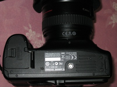 IMG_0266 mod.jpg