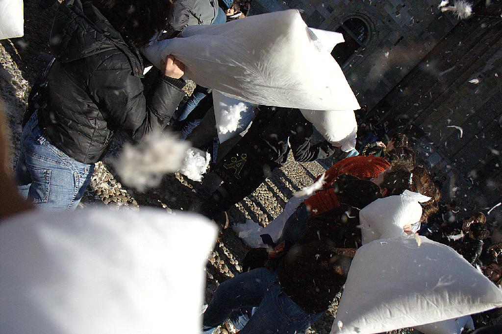 img_0268_web.jpg