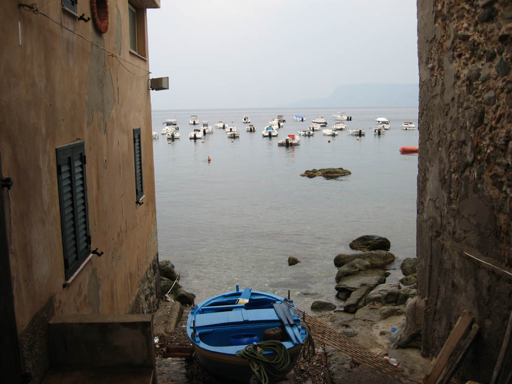 IMG_0342sd.jpg