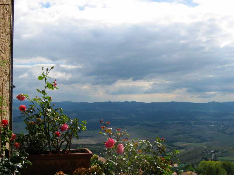 Img 036d.jpg