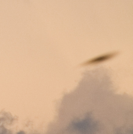 IMG_0379crop.jpg