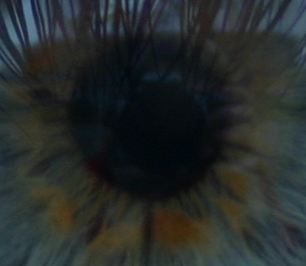 IMG_0419 crop.JPG