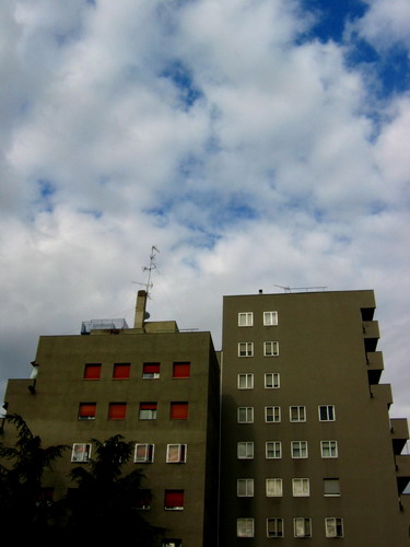 IMG_0431_resize.JPG