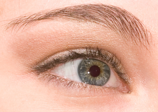 IMG_0479crop.jpg