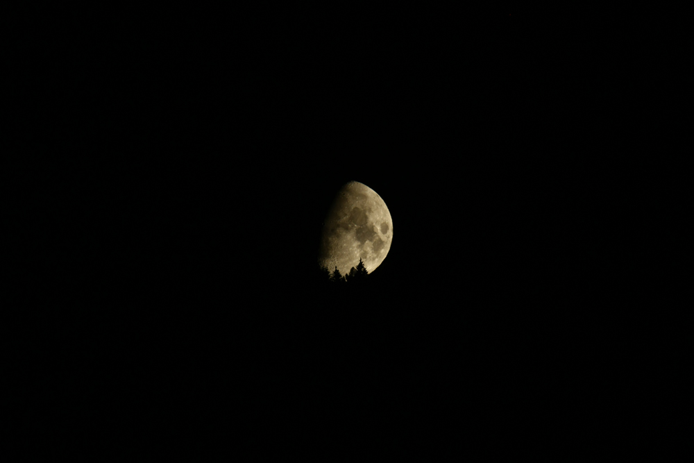 IMG_0520.jpg