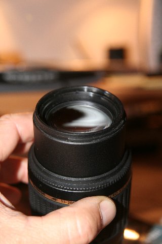 IMG_0556_320x480.jpg