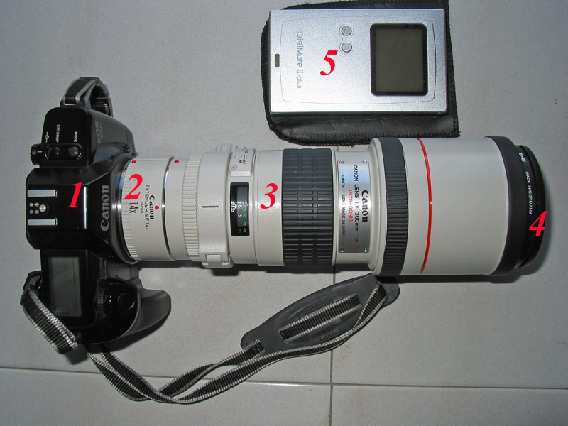 IMG_0607-WEB.jpg