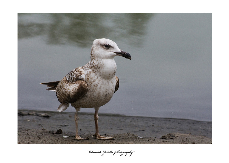 IMG_0698mm copia2m.jpg