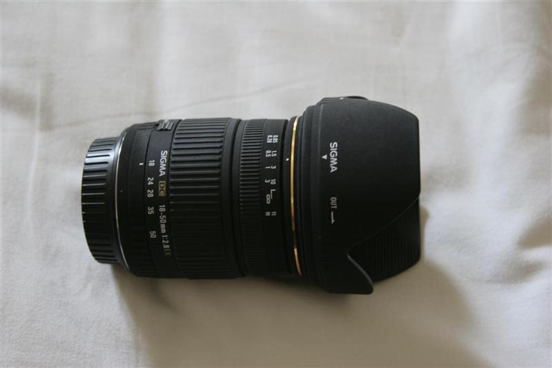 IMG_0707 (Large) (Medium).JPG