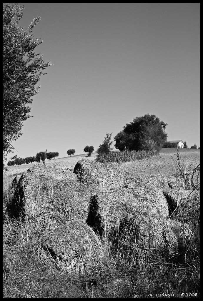 IMG_0721 copia.jpg