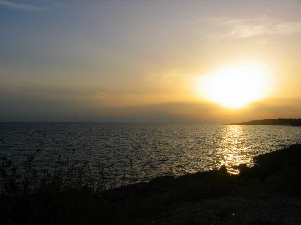 IMG_0865c.jpg