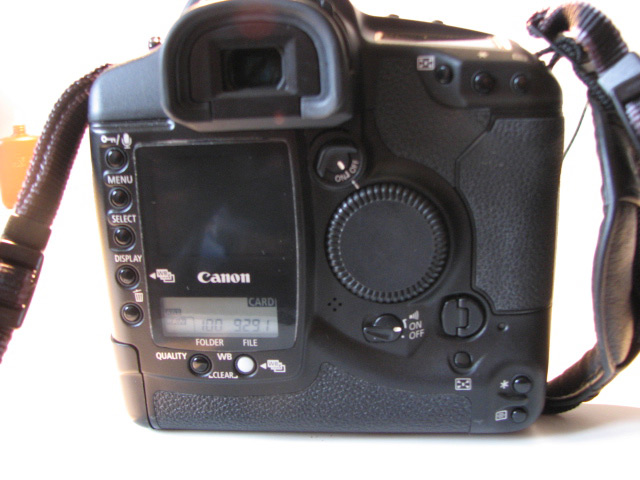 IMG_0867-web.jpg