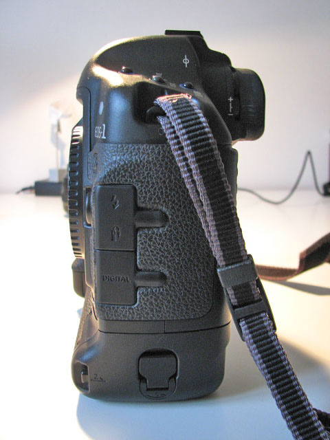IMG_0868-web.jpg
