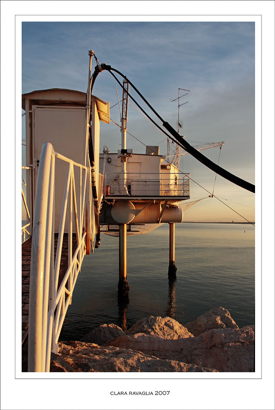 IMG_0954rovescioWEB90.jpg