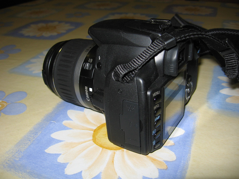 IMG_1041_1.jpg