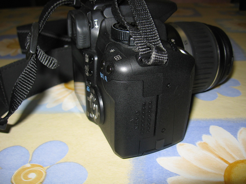 IMG_1042_1.jpg